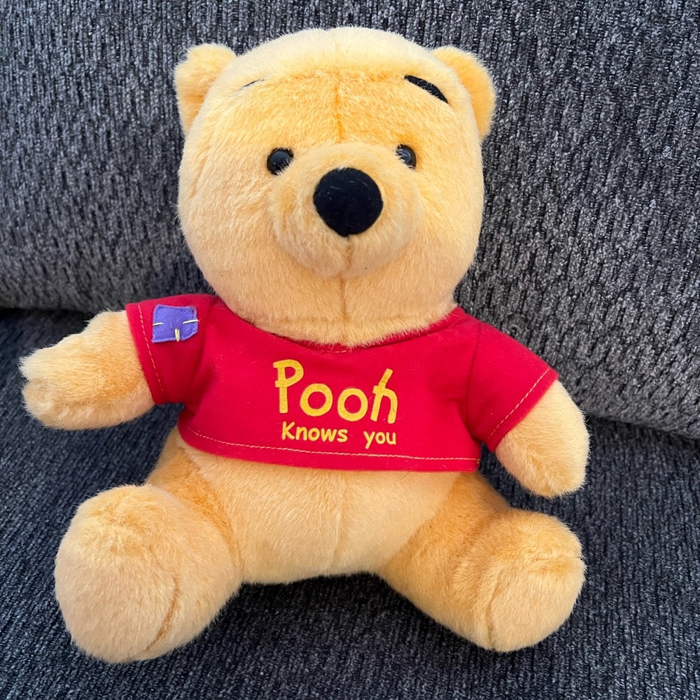Winnie the Pooh Knows You Talking Plush